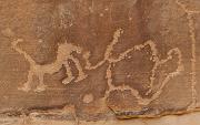 Mesa Verde Petroglyph